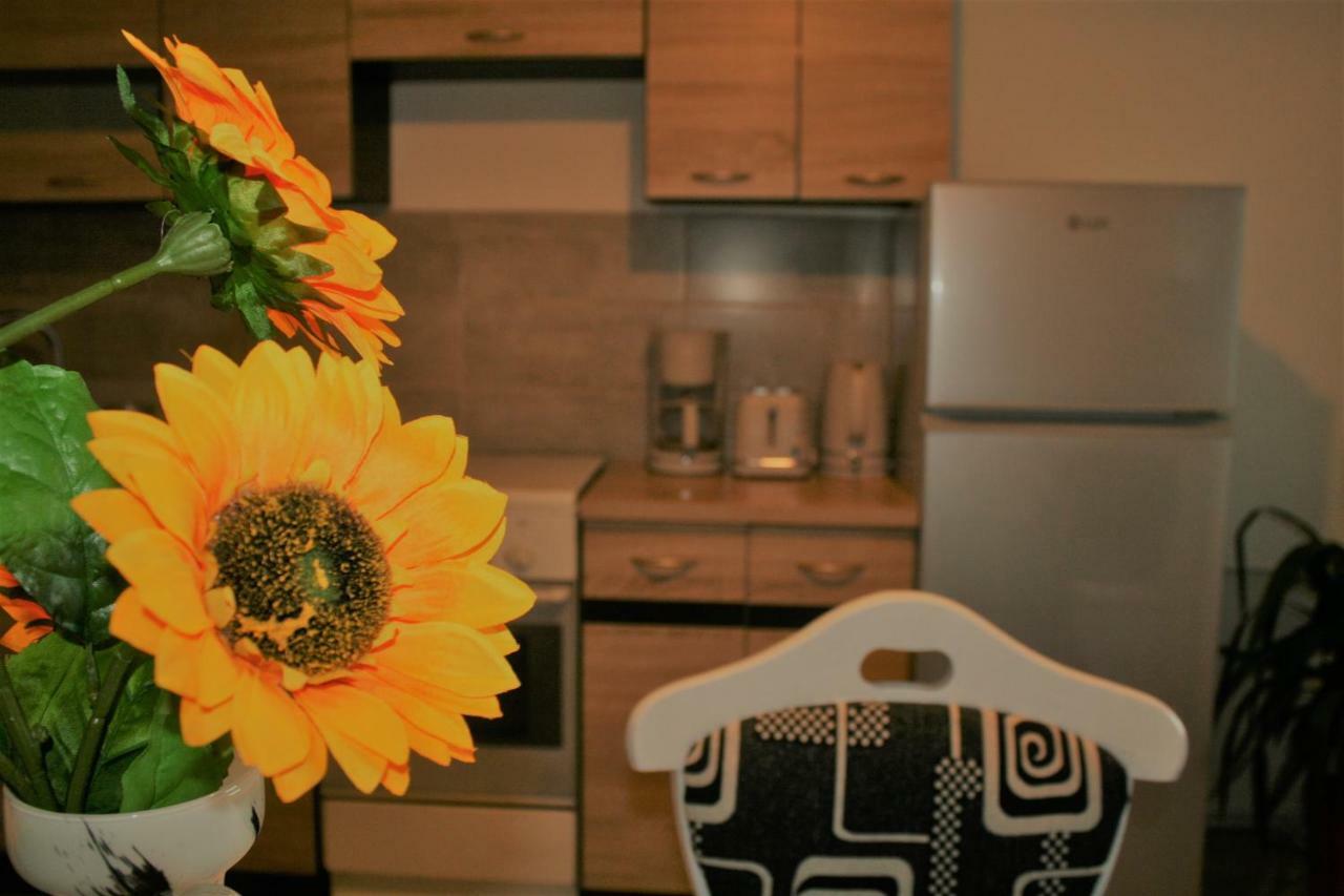 Casa Peterfi - Apartment With 3 Bedrooms And Spacious Living Room Targu Mures Ngoại thất bức ảnh